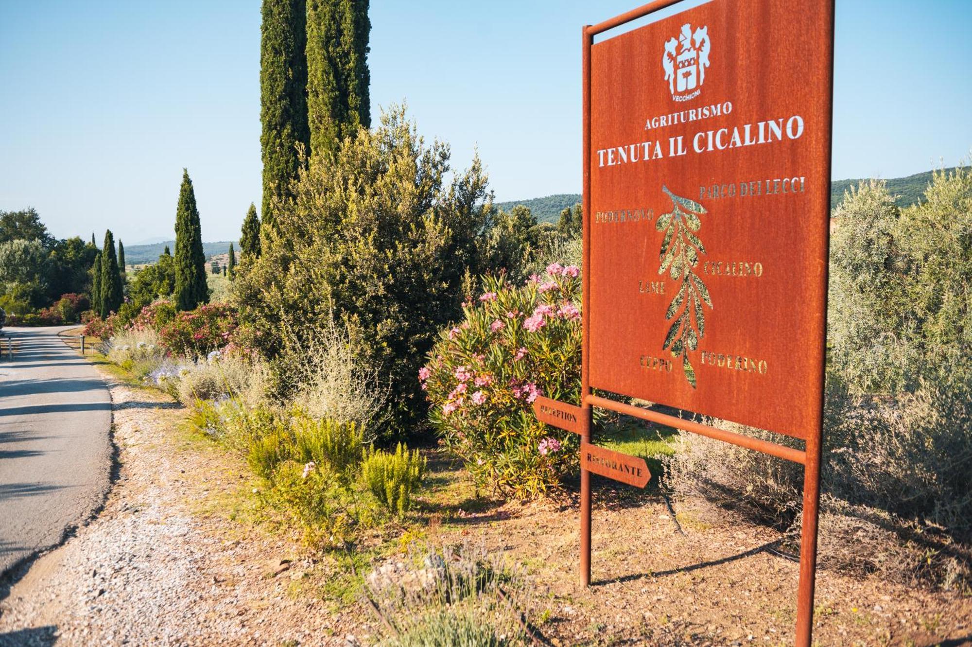 Tenuta Il Cicalino Massa Marittima Eksteriør billede